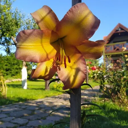 U Ani Farm stay