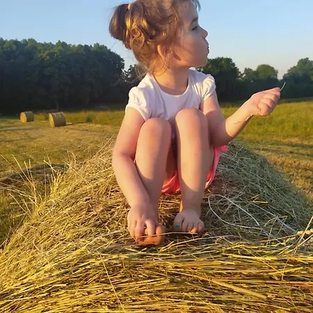 U Ani Farm stay *